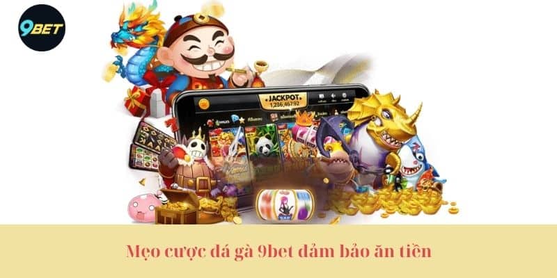 Mẹo cược đá gà 9bet đảm bảo ăn tiền